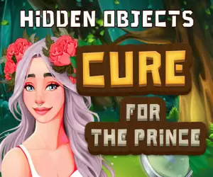 Hidden Objects: Cure for the Prince Hidden Objects: Cure for the Prince jeux de